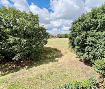 1 bedroom retirement property to rent - Photo 5