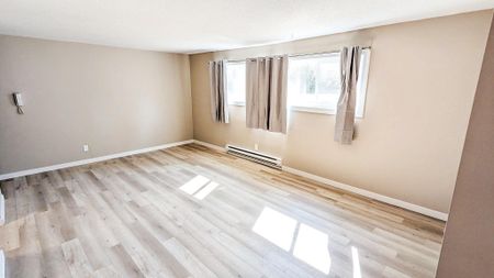 Forestview Heights Apartments - Photo 4
