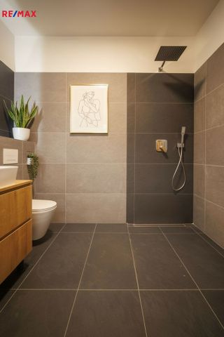 Pronájem bytu 2+kk v osobním vlastnictví 50 m², Ostrava - Photo 5
