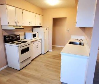 3 Bedrooms,large apartment! Amazing Location! Close to U of C! - Photo 2