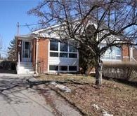 For Lease - 3443 Queenston Drive Unit# Lower, Mississauga, Ontario - Photo 6
