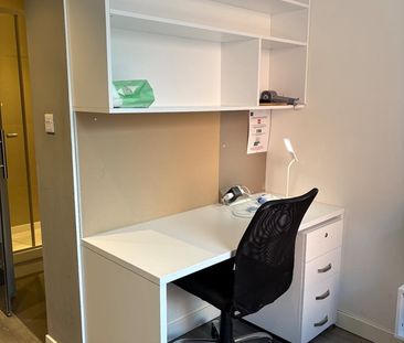Studio Flat, Miura, NG3 - Photo 3