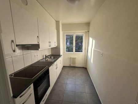 Bel appartement de 2 pièces calme et au centre-ville ! - Photo 3