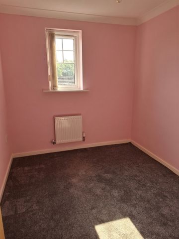 Mackley Close, South Shields - Photo 2