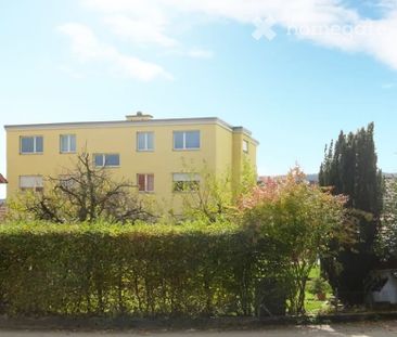 3.5 Zimmer-Wohnung, lichtdurchflutet, ruhige Lage am Waldrand - Foto 5
