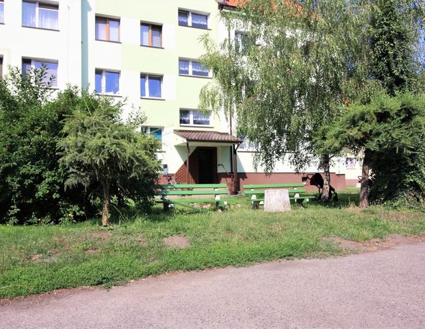 Mieszkanie Kołbacz, Szarych Mnichów, nr 429083 - Zdjęcie 1