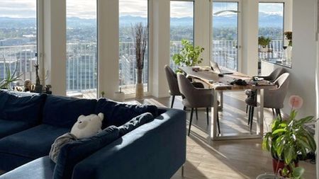 3½ Zimmer-Wohnung in Dübendorf (ZH), möbliert, auf Zeit - Foto 2