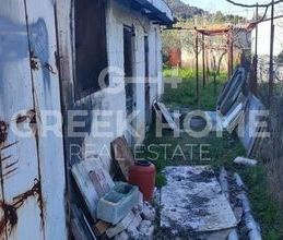 Μονοκατοικία για ενοικίαση - Γλυκά Νερά - Photo 4