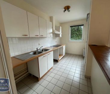 Appartement à louer 2 pièces 44.91m² - Photo 6