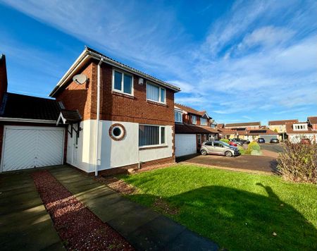 3 bed semi-detached house to rent in NE63 - Photo 3