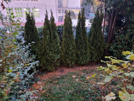 Neu renovierte Gartenwohnung mit Terrasse in Grünlage - Photo 5