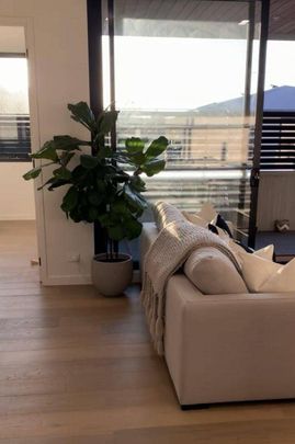 The best of bayside living - Photo 1