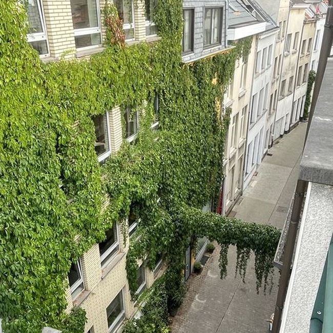 Appartement te huur in Antwerpen voor € 1.125 met 2 slaapkamers - Foto 1