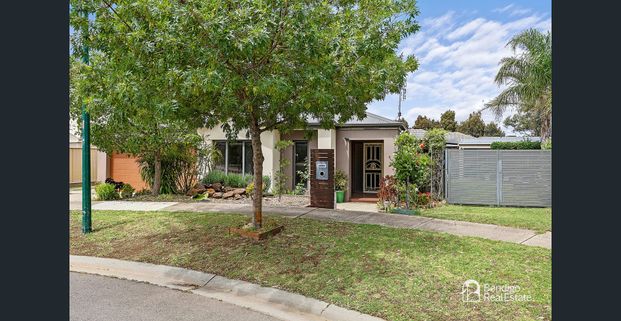 Lovely Court Location - Photo 1