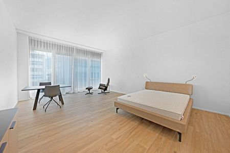 Furnished loft studio of 47 m² on the 1st floor - Photo 3