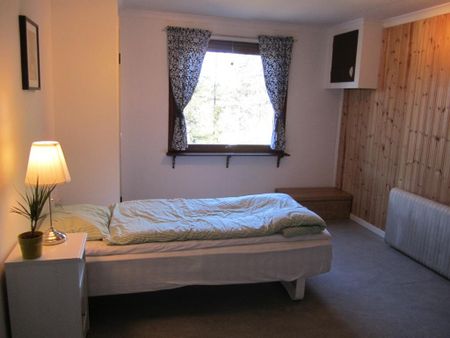 Genvägen, Puoltikasvaara - Foto 4