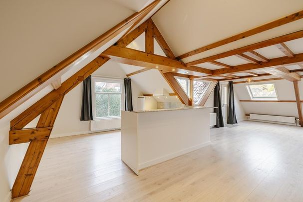 Appartement te huur: Bloemendaalseweg 236-C 2051 GM Overveen - Foto 1