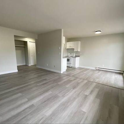 3 Beds 2 Baths Apartment - Photo 1