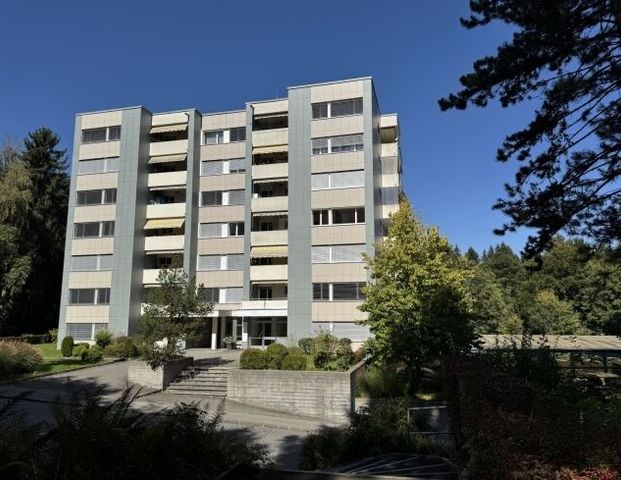 Newly renovated apartment in a sought-after location in Lucerne - Photo 1