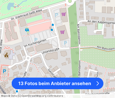 EUPORA® Immobilien: Wohnung in der Altstadt von Kirchheimbolanden. - Foto 1