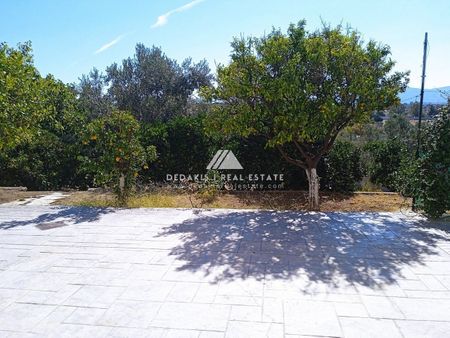 Studio/Γκαρσονιέρα για ενοικίαση Άσπρα Χώματα (Λουτράκι-Περαχώρα) - Photo 3