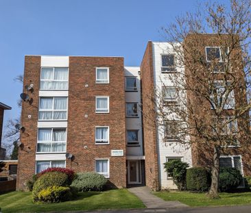 Maldon Road - Photo 6