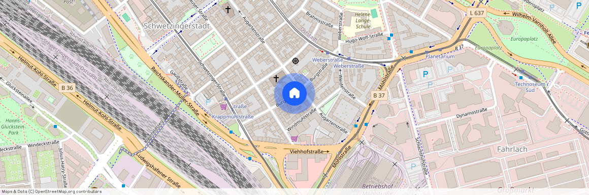 Burgstraße 24, 68165 Mannheim