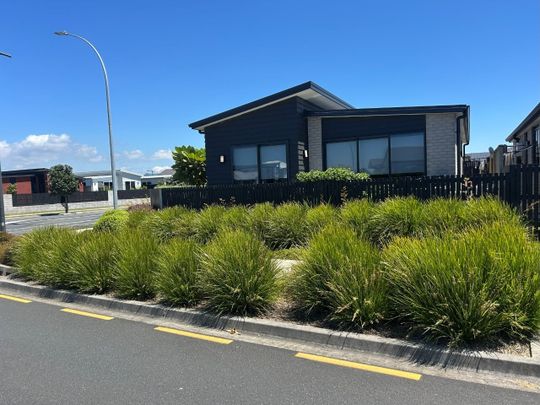 Bronze Delight - Papamoa - Photo 1