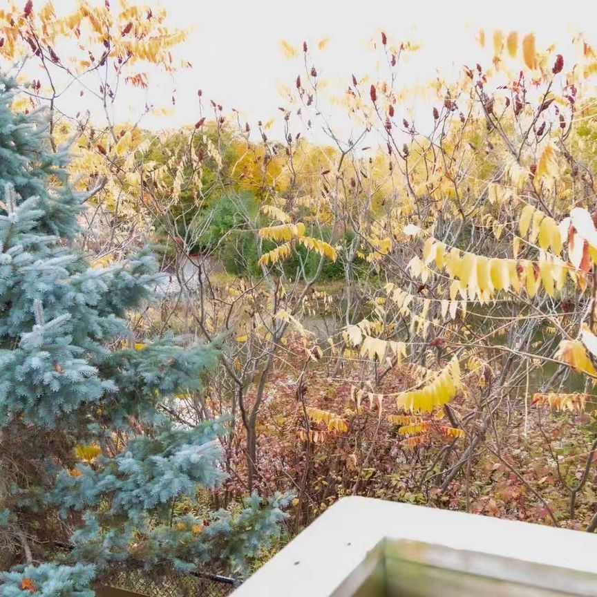 For Lease - 19 Durango Drive, Richmond Hill, Ontario - Photo 1