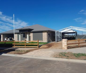 Roseworthy - Photo 4
