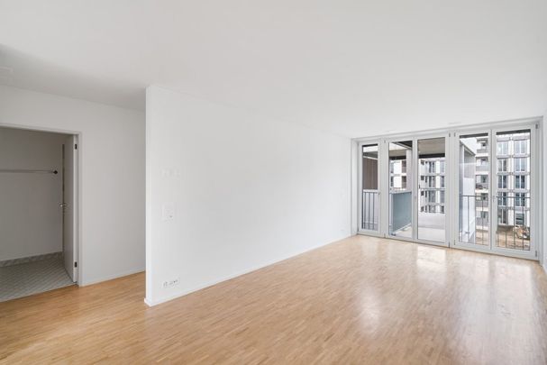 2 ½ Zimmer-Attikawohnung in Winterthur mieten - Photo 1