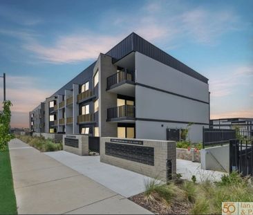 8/125 Wellsvale Drive, Googong NSW 2620 - Apartment For Rent | Domain - Photo 2