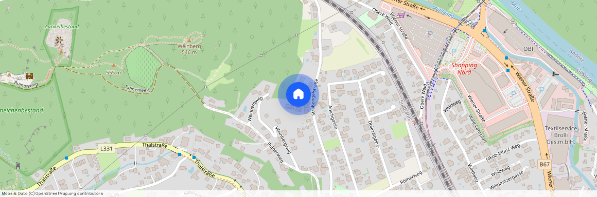 Straßengelstraße 19, 8051 Graz