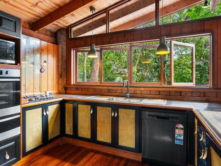 11 Cycas Close, Kamerunga QLD 4870 - House For Rent | Domain - Photo 2