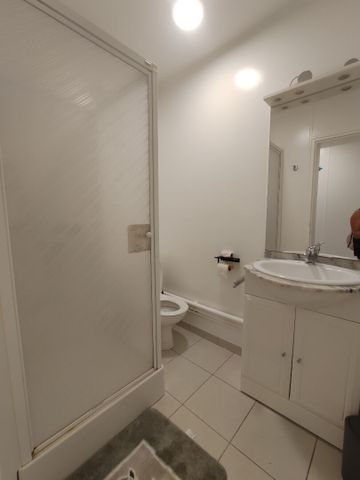 Location Appartement 1 pièce 20m² - Photo 5
