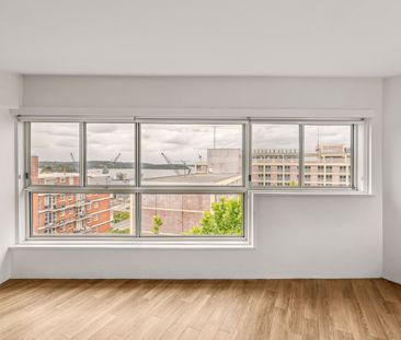 45/15 Wylde Street, Potts Point NSW 2011 - Apartment For Rent | Domain - Photo 3