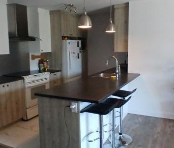 Grand 41/2 style condo - droit au chien, aout ou sept. - Photo 2