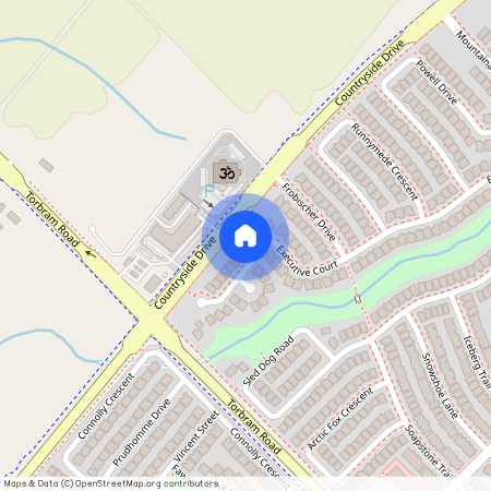 58 Executive Court Unit# Bsmt, Brampton