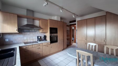 Location maison 4 pièces, 130.00m², Ribeauvillé - Photo 4