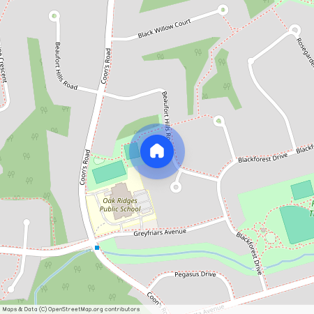 21 La Reine Avenue Unit# MAIN, Richmond Hill