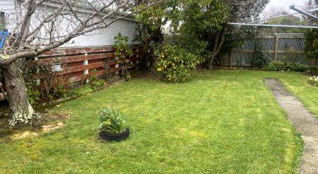 Three Bedroom Shamrock Street - Photo 5