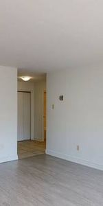 Modern 1-Bedroom Apartment for Rent – Pet Friendly – Feb 1st - Photo 4