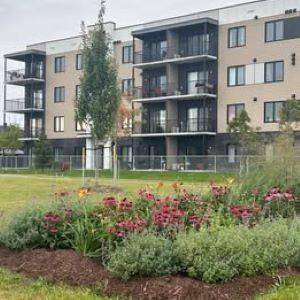 4 1/2 - Lévis - 1 375 $/mois - Photo 1