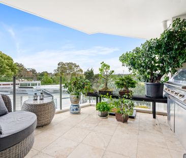 17/27-33 Homer Street, Earlwood NSW 2206 - Apartment For Rent | Domain - Photo 2
