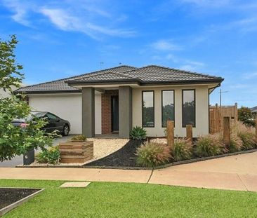 Stylish Family Home in Prime Armstrong Creek Location - Photo 5