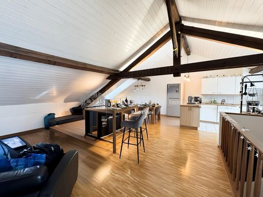 Beautiful 3-room apartment in antique in Carouge - Photo 1