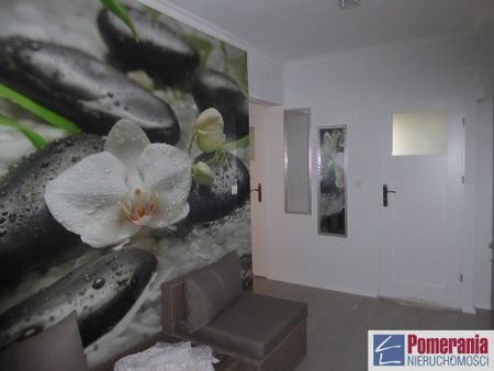 Skolwin, ul. Stołczyńska - Photo 4