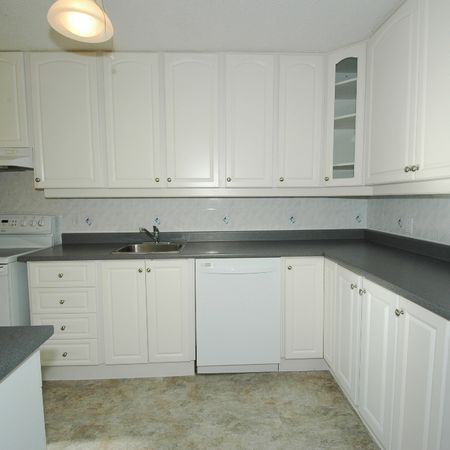 2 bedroom unit close to Cite Collegiale and Ogilvie/Bathgate - Photo 3