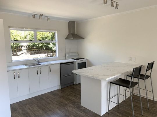 Located down a quiet street in Hamilton East, this tastefully modernised five bedroom home has got a lot going for it. - Photo 1