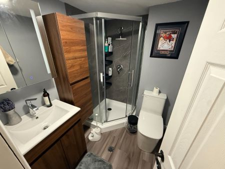 For Lease - 125 Grove Street Unit# BASEMENT, Guelph, Ontario - Photo 3